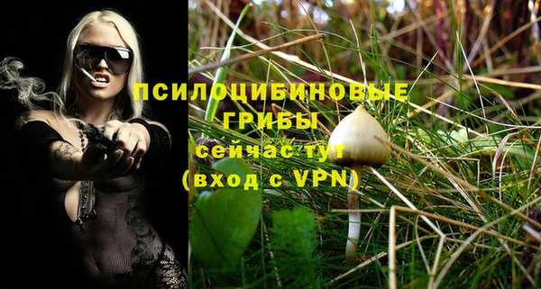 мет Балахна